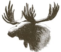 Elk icon